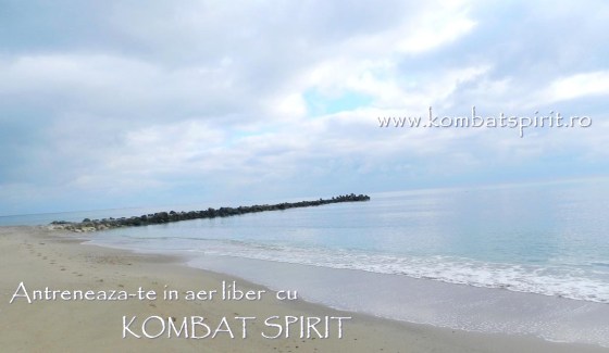 arte martiale autoaparare antrenament mare eforie sud kombat spirit