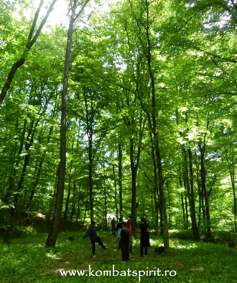 sarata monteoru buzau kombat spirit