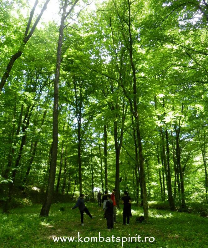 sarata monteoru buzau kombat spirit