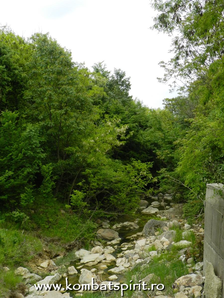 sarata monteoru buzau