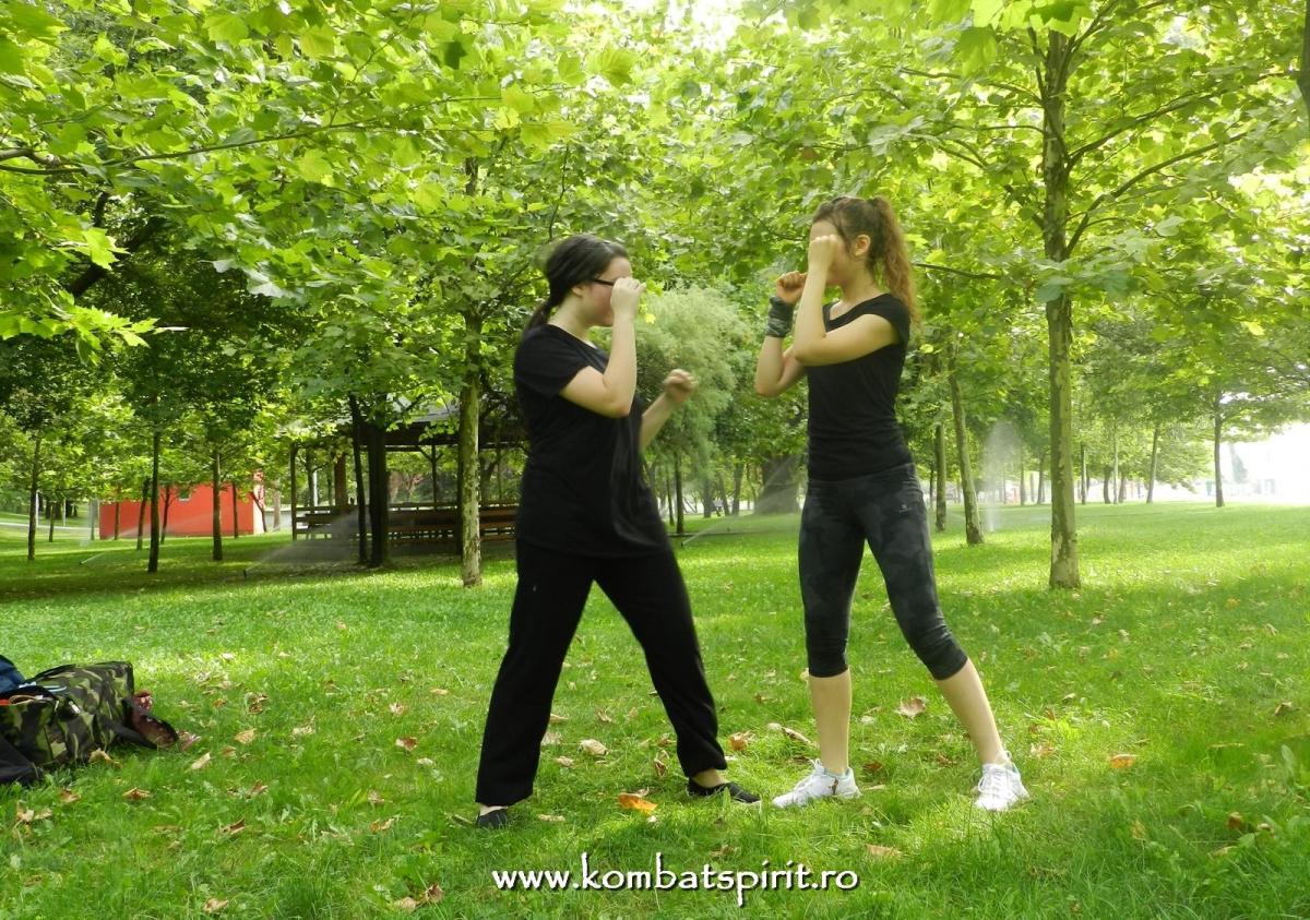 kombat spirit arte martiale parcul titan alexandru ioan cuza