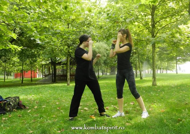 kombat spirit arte martiale parcul titan alexandru ioan cuza