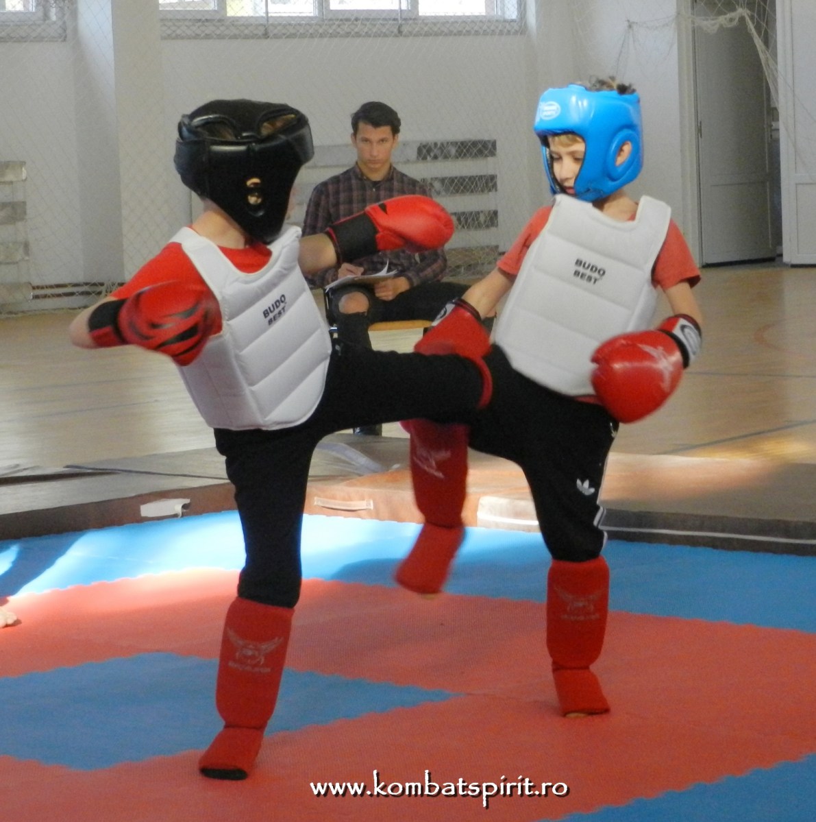 Rizea Wushu Targoviste