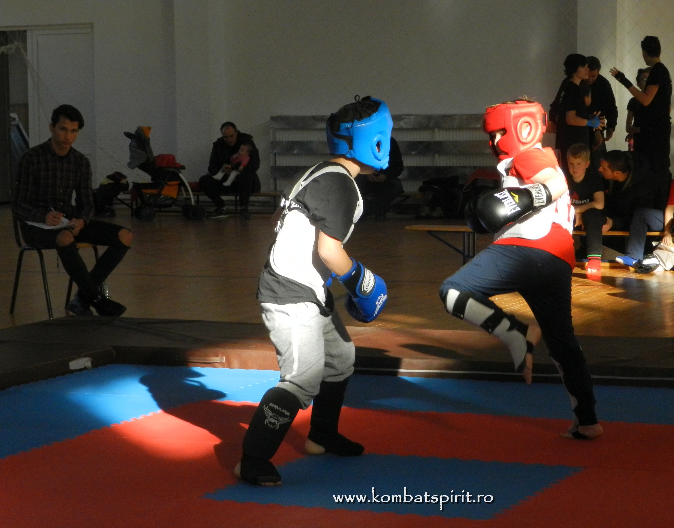Rizea Wushu Targoviste