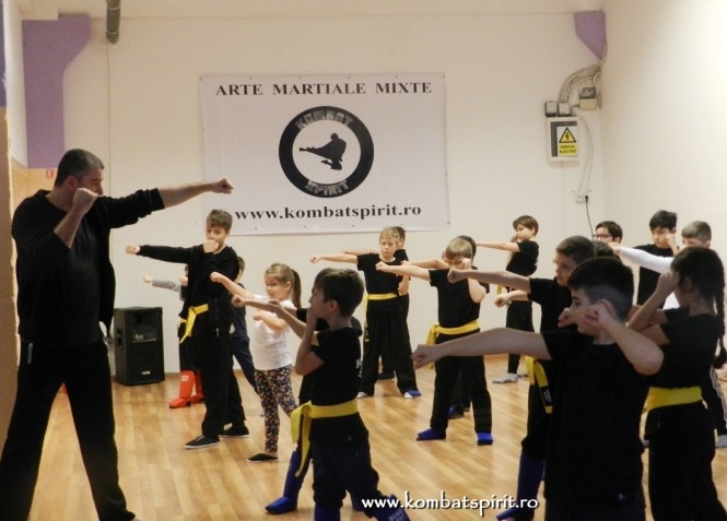 DSCN0786 kombat spirit bucuresti