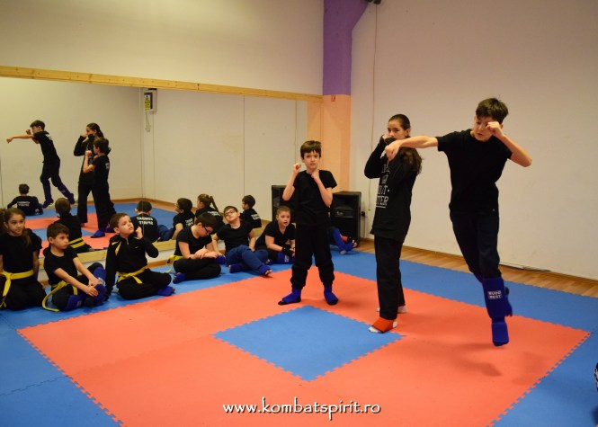 DSC_0032 kombat spirit arte martiale