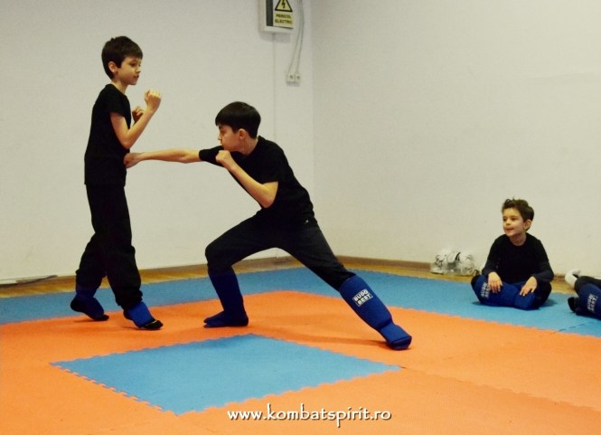 DSC_0104 kombat spirit arte martiale