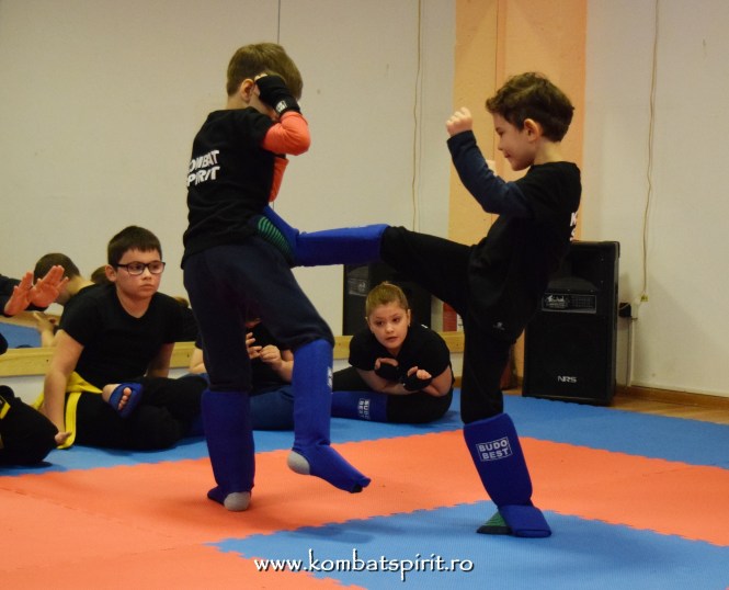 DSC_0921 kombat spirit arte martiale