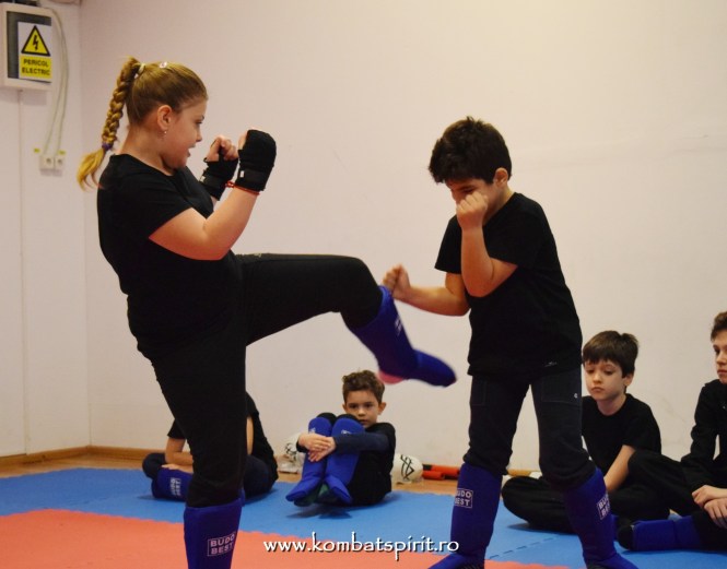 DSC_1005 kombat spirit arte martiale