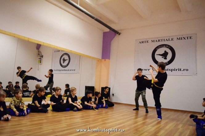 DSC_2281 kombat spirit arte martiale