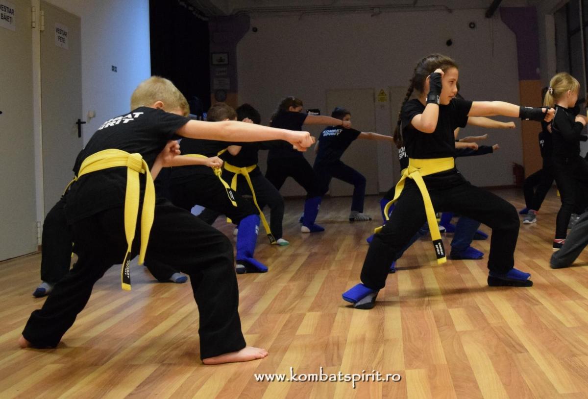 kombat spirit arte martiale bucuresti
