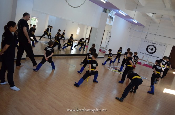 kombat spirit bucuresti