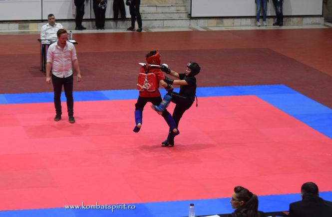 (c) www.kombatspirit.ro