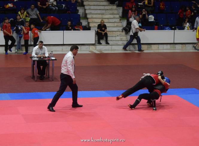 (c) www.kombatspirit.ro