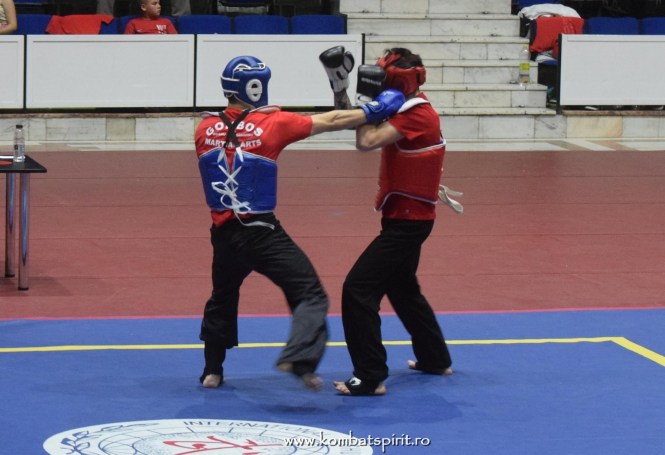 (c) www.kombatspirit.ro