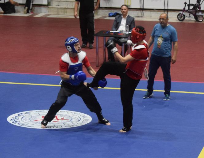 (c) www.kombatspirit.ro