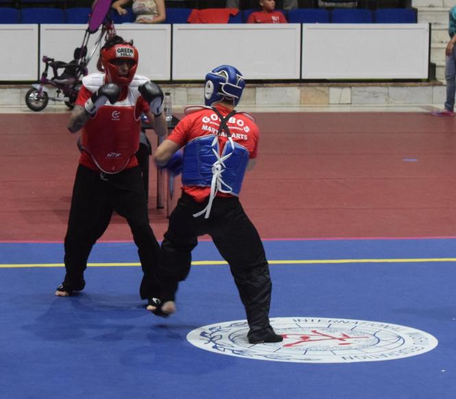 (c) www.kombatspirit.ro