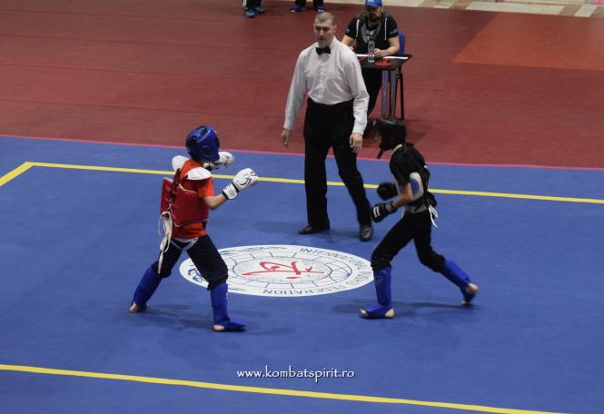 (c) www.kombatspirit.ro