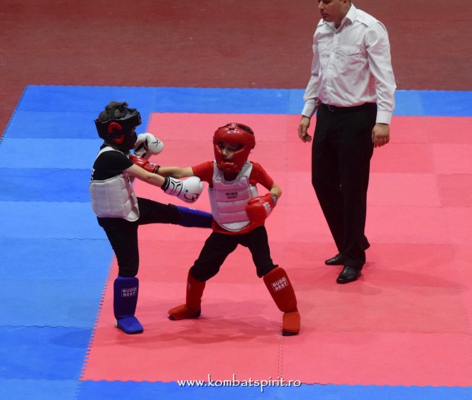 (c) www.kombatspirit.ro