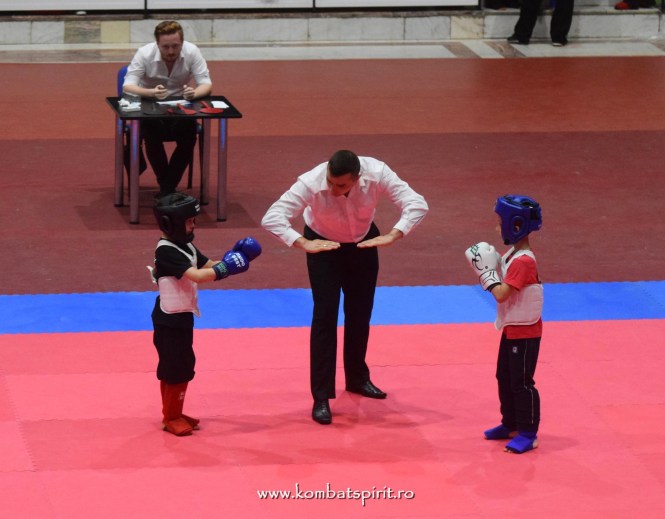 (c) www.kombatspirit.ro