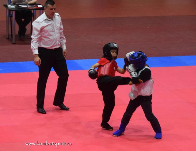 (c) www.kombatspirit.ro