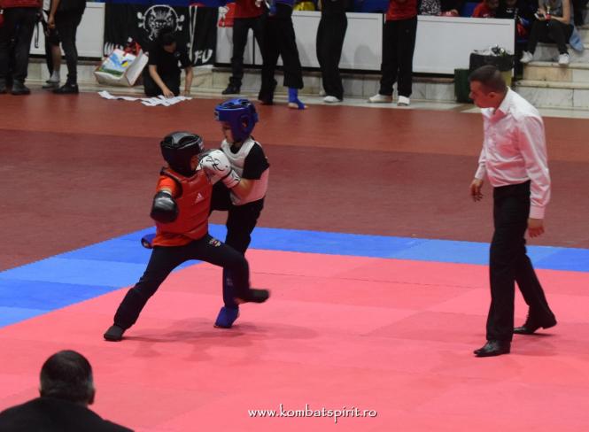 (c) www.kombatspirit.ro