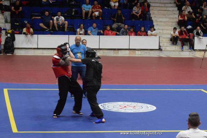 (c) www.kombatspirit.ro