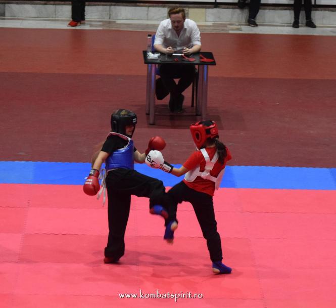 (c) www.kombatspirit.ro