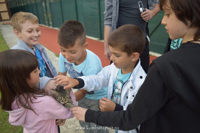 ???????????????????????