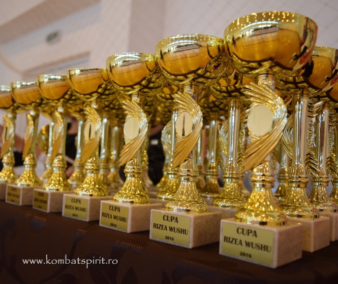 csc_1059-kombat-spirit-bucuresti-rizea-wushu-targoviste