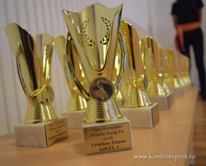 dsc_0443-kombat-spirit