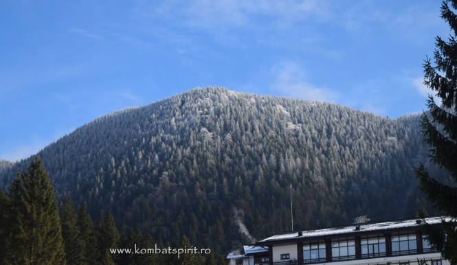 zdsc_0423kombat-spirit